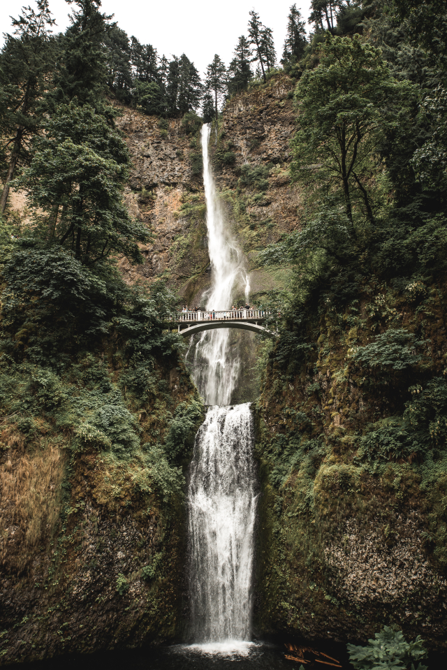 A photo of Multnomah falls in Oregon taken by Caleb Jones